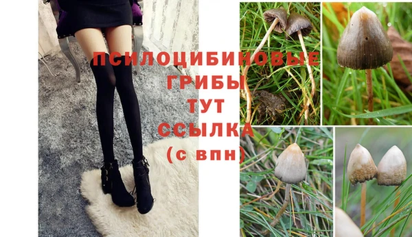 гашик Абдулино